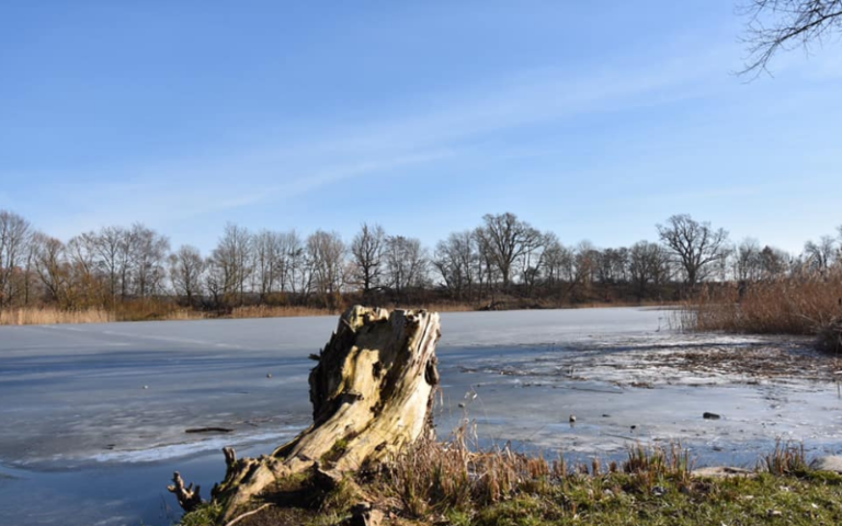 Gutshaus Genzkow Kulturlandschaft Brohmer & Helpter Berge